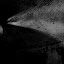 IMG_0165.jpg IMG_0165.jpg