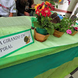 IMG_3735.JPG