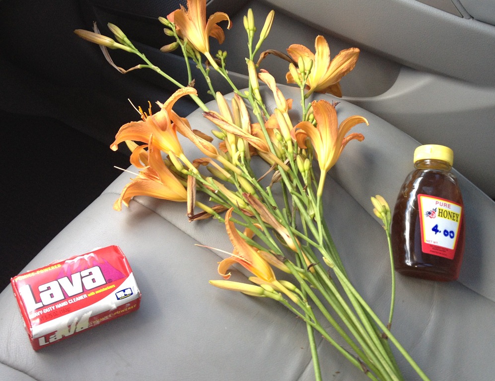 [IMG_3934%255B6%255D.jpg]