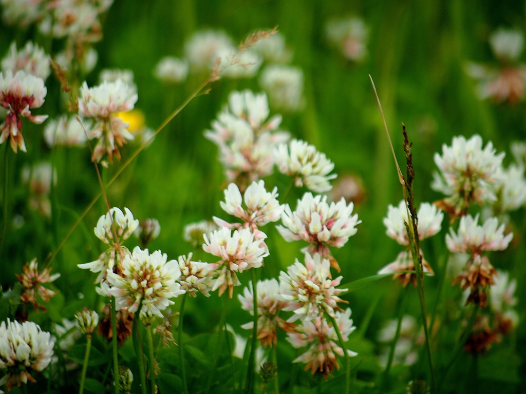 [9%2520July%25201%255B3%255D.jpg]