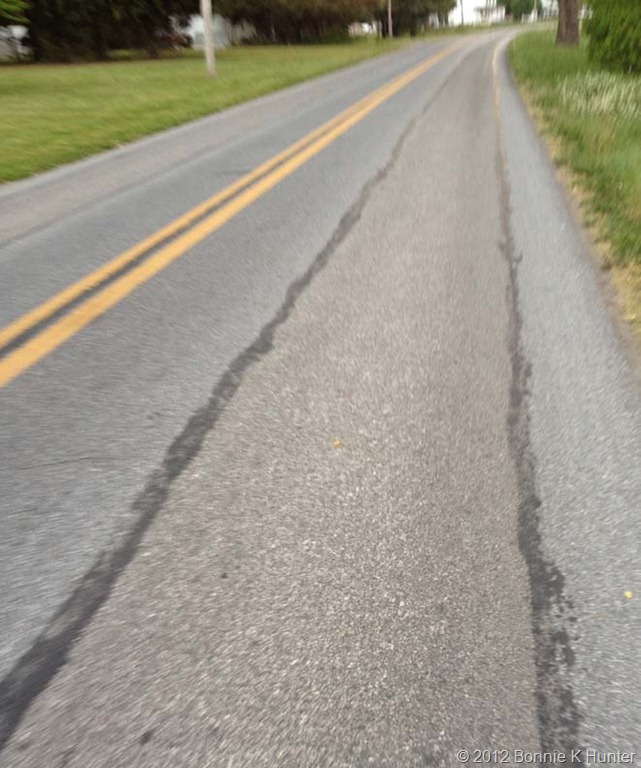 [Delaware2012-0136.jpg]