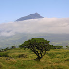 Montanha do Pico
