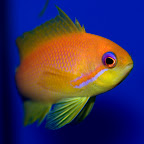 DSC_2196.jpg