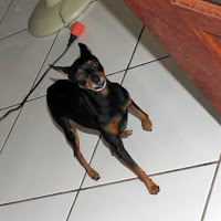  Aniversario_Wilkarson_Soares_28_08_2011