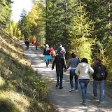 27.10.2009 Malga "Hollenz"- Hollenzalm