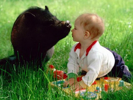 animals-and-humans_14