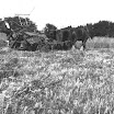 Farming (Historic).JPG
