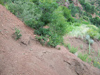 colorado