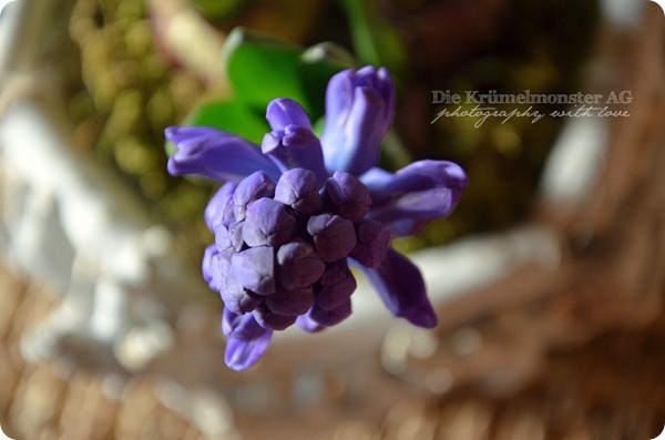 Color you happy - Powerful violet