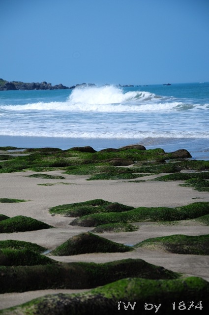 [DSC_6016%255B8%255D.jpg]