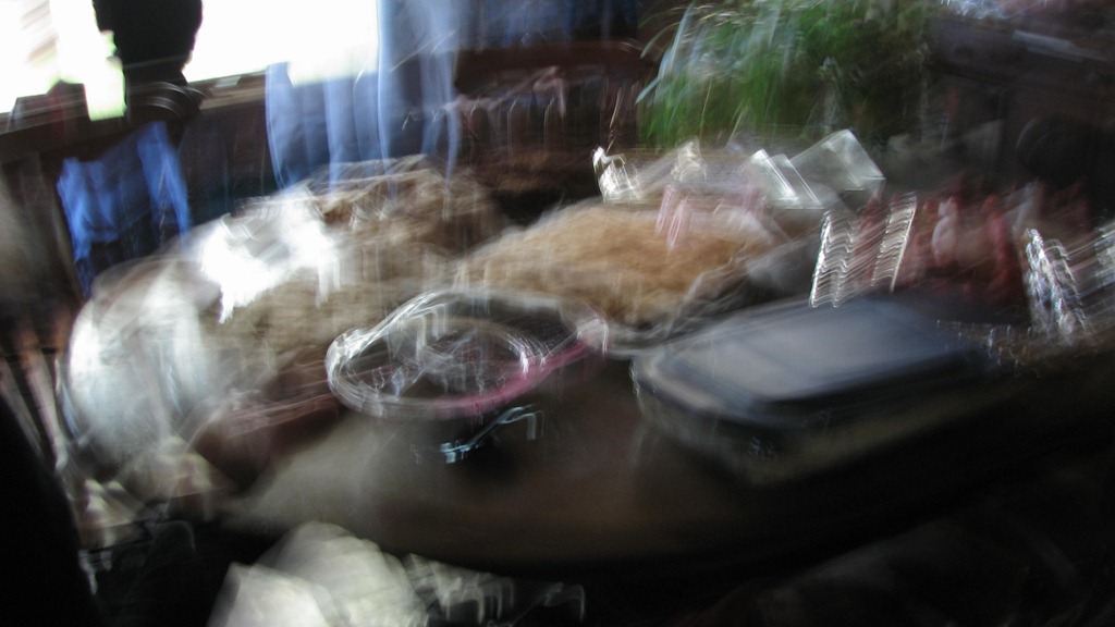 [birthday%2520bash%255B8%255D.jpg]