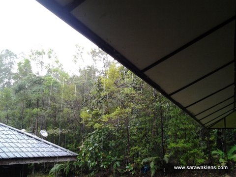 [rain_Kubah_national_park%255B3%255D.jpg]