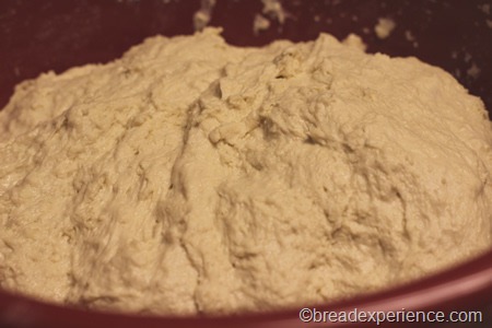 fougasse_1157 fougasse_1157