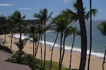 IMGP3094.jpg IMGP3094.jpg