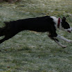 DSC09350.JPG