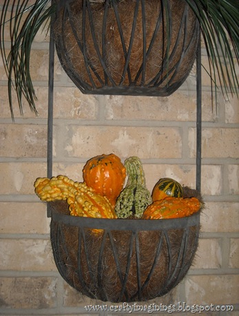 Fall gourds