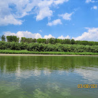 IMG_5524.JPG