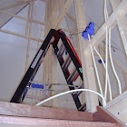 P7090030.JPG