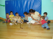 Fotos perros Varios fotos perros