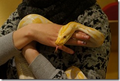 Juliane and her python