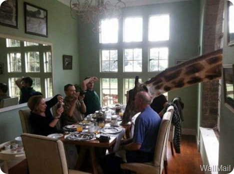 Wallmail Funny Picture 