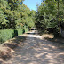 Passeig de les acàcies ascendent