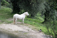 Unlikely friends
