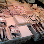 fish market in ueno in Ueno, Japan 