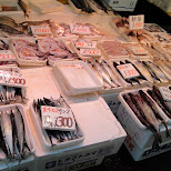 fish market in ueno in Ueno, Tokyo, Japan