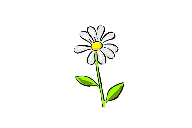 [daisy%255B7%255D%255B4%255D.jpg]