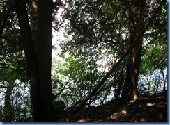 4689 McRae Point Provincial Park Water's Edge Trail - Lake Simcoe