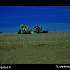 Siesta y bronce