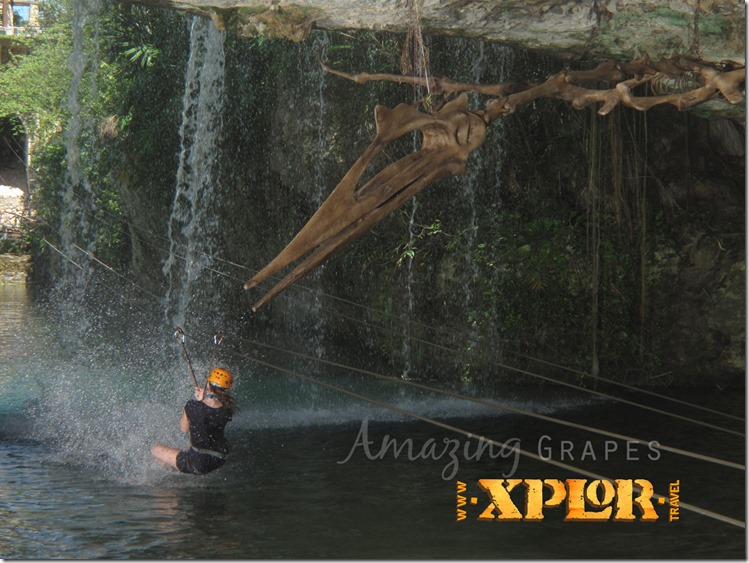 Xplor Xplor