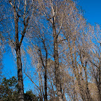 20101003-jesien w krakowie-30.jpg