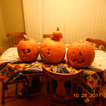 DSCN0463.JPG