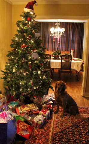 [IMG_4768%255B3%255D.jpg]