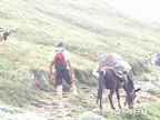 Pico Slideshow