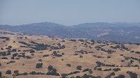 DSC02990.jpg