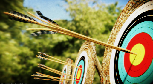 Plataforma Vibratoria Bshaker Bs Pro - Profecional,