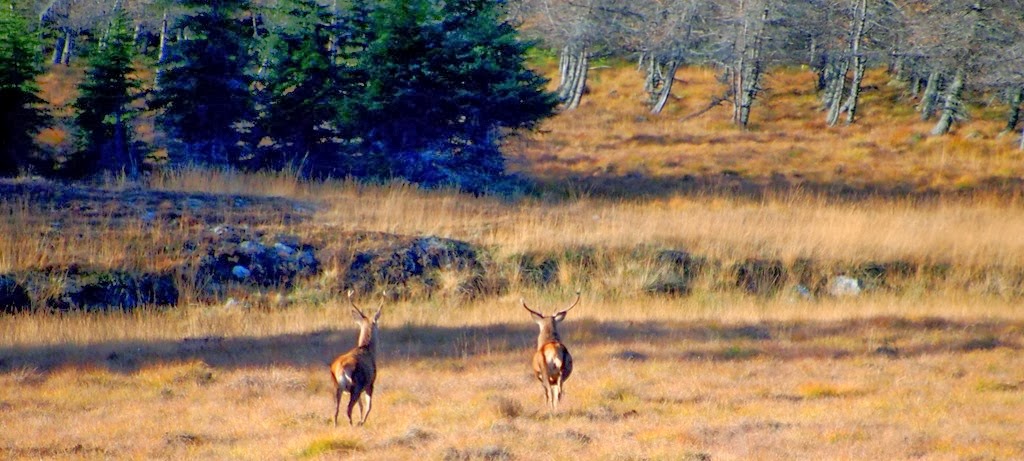 [19%2520Nov%252015%255B3%255D.jpg]