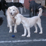 DSCN4661.jpg
