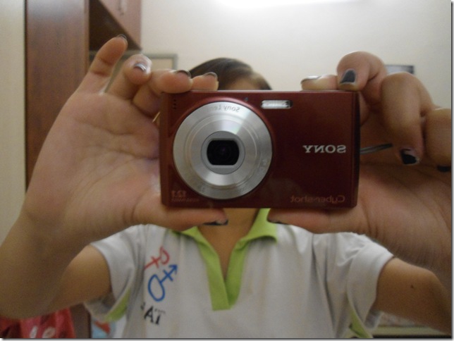 DSC00210