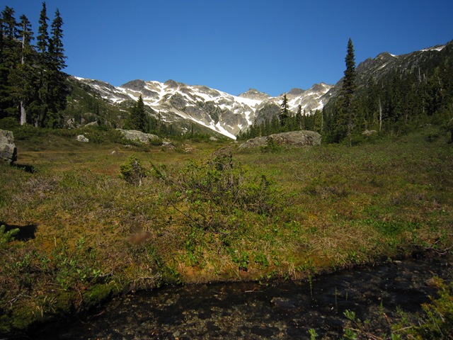 [IMG_56883.jpg]
