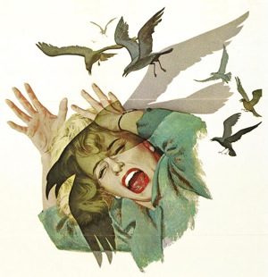Hitchcock birds
