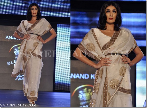 Anand_Kabra_Embroidery_Saree