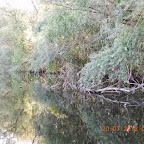 DSCN4462.JPG