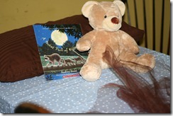 IMG_1713 IMG_1713
