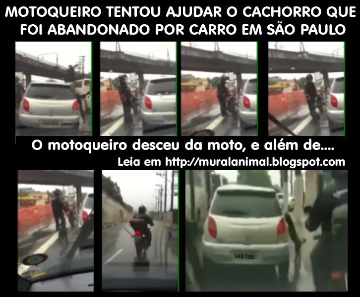 [cao-abandonado-carro-sp%255B3%255D.jpg]