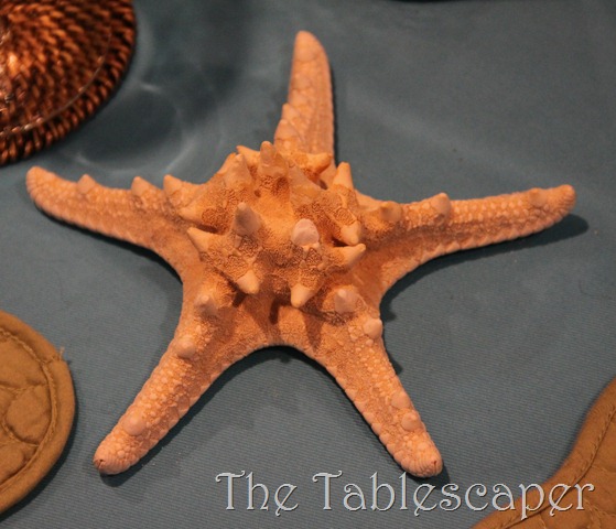 [Nancys-seaside-table-0222.jpg]