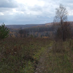 Лесная дорога